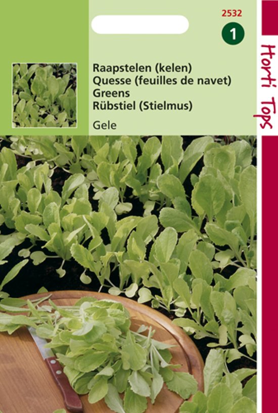 Rbstiel gelbe (Brassica campestris)